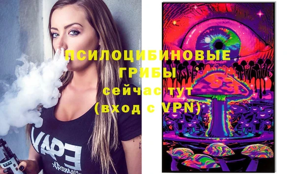 apvp Братск